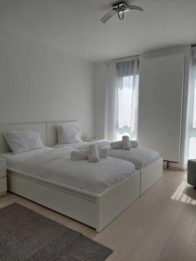 Casa Maria City Apartments Timișoara Zewnętrze zdjęcie